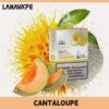 lana煙彈哈密瓜口味